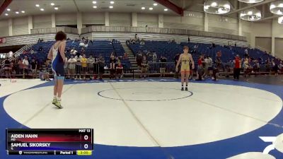 113 lbs Cons. Round 3 - Aiden Hahn, MO vs Samuel Sikorsky, IL
