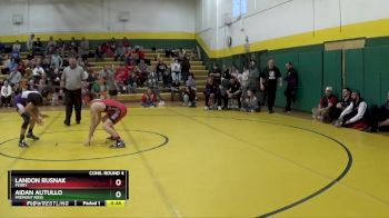 126 lbs Cons. Round 4 - Aidan Autullo, Fremont Ross vs Landon Rusnak, Perry