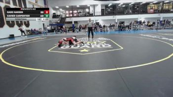 149 lbs Semifinal - Gabe Hansen, Ohio Northern vs Xavier Carpentier, Albion