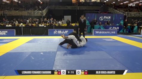 Julio Souza Arantes vs Leonardo Fernandes Saggioro 2025 Pan Jiu Jitsu IBJJF Championship