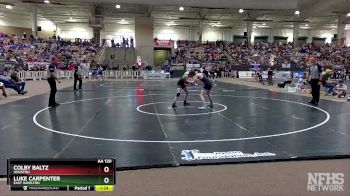 AA 120 lbs Quarterfinal - Colby Baltz, Houston vs Luke Carpenter, East Hamilton