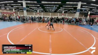 96 lbs Quarterfinal - Andrew Rodriguez, Gracie Barra Westchase Wrestling Club vs James Triplett, NB Elite Wrestling Club