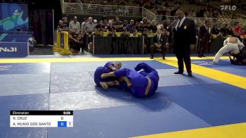 RENAN CRUZ vs ANDERSON MUNIS DOS SANTOS 2024 Pan Jiu Jitsu IBJJF Championship