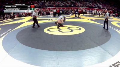 D1-113 lbs Cons. Semi - Conner Whitely, St. Edward vs Ayden Dodd, Perrysburg