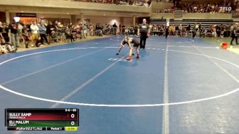 65 lbs Champ. Round 1 - Eli Malum, Foley vs Sully Samp, Fergus Falls