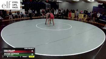 135 lbs. Cons. Round 6 - Erin Delling, Parkway Central vs Payton Hammack, St. Charles West