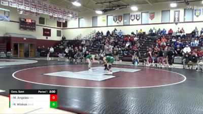 125 lbs Cons. Semi - Hailey Wiskus, Dubuque Hempstead vs Mariana Angeles, Cedar Rapids Kennedy