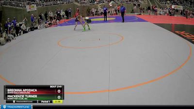 100 lbs Semifinal - Mackenzie Turner, Banks Mat Club, Inc vs Breonna Apodaca, Idaho Gold Wrestling