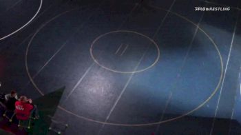 132 lbs Semifinal - Camden Baum, Northern York vs Reagan Milheim, Warrior Run