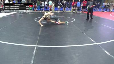 110 lbs Round Of 16 - Julian Panebianco, Morrisdale vs Julian Fortunato, Colts Neck