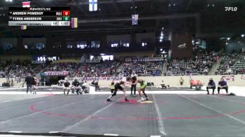 138 lbs Champ. Round 1 - Andrew Pomeroy, Male vs Tyren Anderson, Green County