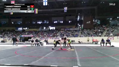 138 lbs Champ. Round 1 - Andrew Pomeroy, Male vs Tyren Anderson, Green County