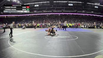 D1-165 lbs Quarterfinal - Caiden Walker, Flushing HS vs Dominic Nauss, Brighton HS