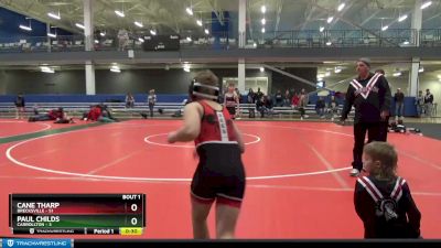 95 lbs Finals (2 Team) - Eli German, Brecksville vs Noah Jenkins, Carrollton