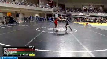 55 lbs Finals (8 Team) - Mason Gruber, Pierz vs Hayden Briggs, Worthington