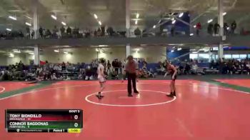 65 lbs Round 3 (4 Team) - Tony Biondillo, Brecksville vs Connor Bagdonas, Perrysburg