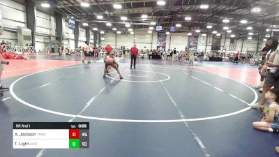 110 lbs Rr Rnd 1 - Amarius Jackson, Team Nauman vs Troy Light, Ohio Titan Grey