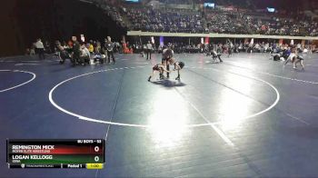 53 lbs Quarterfinal - Remington Mick, Moyer Elite Wrestling vs Logan Kellogg, Iowa