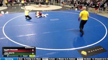 145 lbs Quarterfinal - Josh Route, Hastings vs Elijah Paulson, Anoka