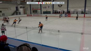 Replay: Home - 2024 CBHA Bulls vs Royals | Mar 2 @ 3 PM