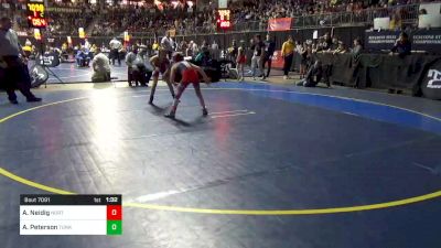 84 lbs Round Of 16 - Abigail Neidig, Northeastern York vs Amelia Peterson, Tunkhannock