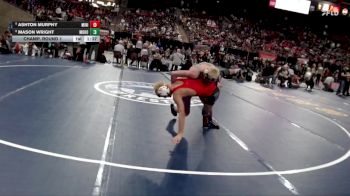 5A 126 lbs Champ. Round 1 - Ashton Murphy, Minico vs Mason Wright, Mountain Home