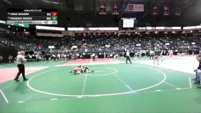 84 lbs Cons. Round 7 - Phoenix Russo, WSW1 vs Crue Shaner, WKA2