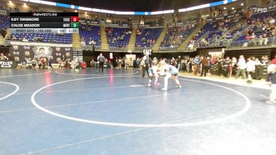 135 lbs 5th Place - Iley Dinsmore, Tuscarora vs Chloe Meador, Northampton