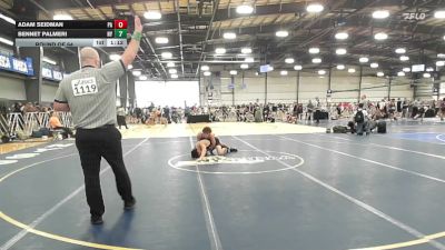138 lbs Round Of 64 - Adam Seidman, PA vs Bennet Palmeri, NY