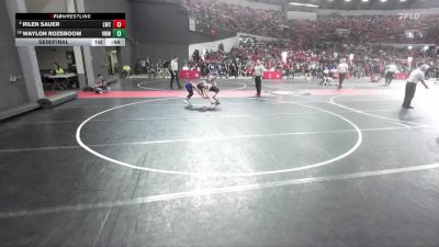 81 lbs Semifinal - Rilen Sauer, Lakeland Wrestling Club vs Waylon Rozeboom, Stoughton Vikings Wrestling Club