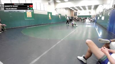 106 lbs Champ. Round 1 - Talon Mulvey, Brea Olinda vs Barbette Hickey, Eastlake
