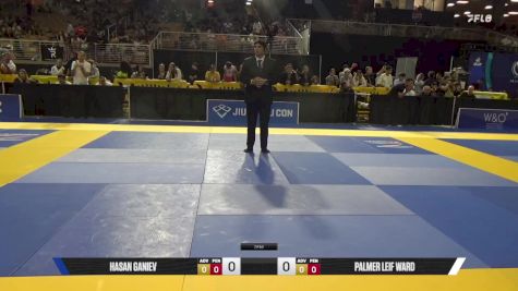 Palmer Leif Ward vs Hasan Ganiev 2025 Pan Kids Jiu-Jitsu IBJJF Championship