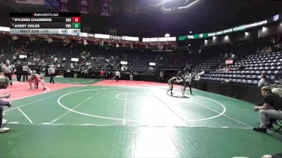 170 lbs 3rd Place Match - Avery Ogles, PWCA vs Ryleigh Chambers, SWC3