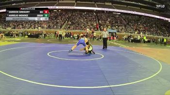 D1-126 lbs Quarterfinal - Aurelio Mendez, Jenison HS vs Jamison Gregory, Detroit Catholic Central HS