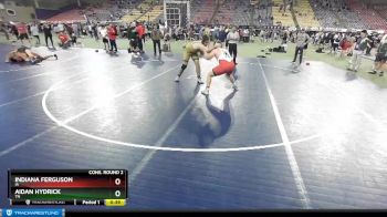 220 lbs Cons. Round 2 - Aidan Hydrick, TN vs Indiana Ferguson, IA