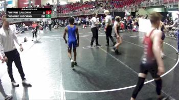 95 lbs Quarterfinal - Dominic Lucchino, Lincoln Squires Wrestling Club vs Bryant Calloway, Sherman Challengers