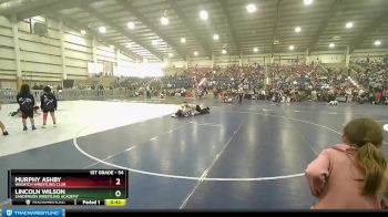 54 lbs 3rd Place Match - Lincoln Wilson, Sanderson Wrestling Academy vs Murphy Ashby, Wasatch Wrestling Club