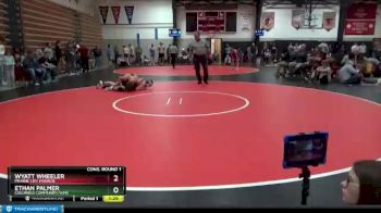 195 lbs Cons. Round 1 - Wyatt Wheeler, Prairie City Monroe vs Ethan Palmer, Columbus Community/WMU