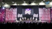 The Vision Dance Center - Youth Small Lyrical [2024 Youth - Contemporary/Lyrical - Small 2] 2024 JAMfest Dance Super Nationals