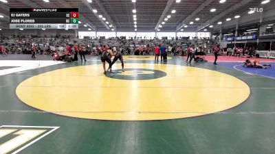 220 lbs Quarterfinal - Ej Gaters, SC vs Jose Flores, NC