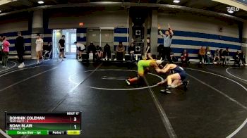 84 lbs Round 5 (8 Team) - Dominik Coleman, Team Shutt vs Noah Blair, CTWHALE
