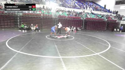 285 lbs Round Of 16 - Jayren Holly, Chester vs Gabe Robinson, St. John's