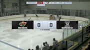 Replay: Home - 2024 Wild U18 AAA vs EastmanU18 AAA | Nov 23 @ 7 PM