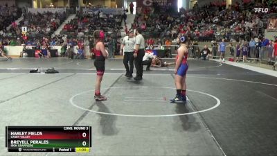 110 lbs Cons. Round 3 - Harley Fields, Caney Valley vs Breyell Perales, Iron Grapplers