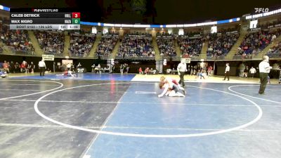 136 lbs Consy Pigtails - Caleb Detrick, Hollidaysburg vs Max Nigro, Nazareth