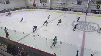 Replay: Home - 2025 TeamOne U14 vs Bearcat Blk U14 | Jun 8 @ 9 AM