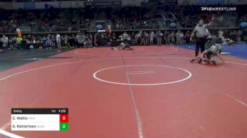 84 lbs Quarterfinal - Carter Wallis, Thoroughbred Wrestling Academy vs Sean Reinertsen, Warsaw Wildcat Wrestling