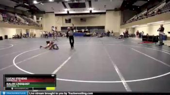 65 lbs Round 2 (6 Team) - Lucas Stevens, Farmington vs Kalon Lindquist, Owatonna