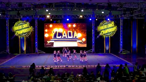 Newtown Nighthawks - D10 [2024 10 & Under] 2021 CHEERSPORT: Concord Classic 1