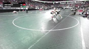 D1-190 lbs Cons. Semi - Andy Servais, Pulaski vs Reed Falk, Middleton